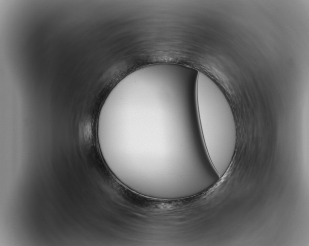 X0000096170166200801180837