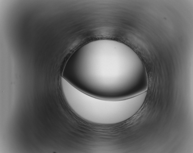 X0000096170168200801180837