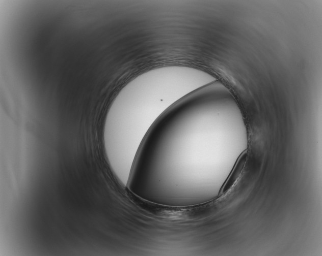 X0000096170170200801180837