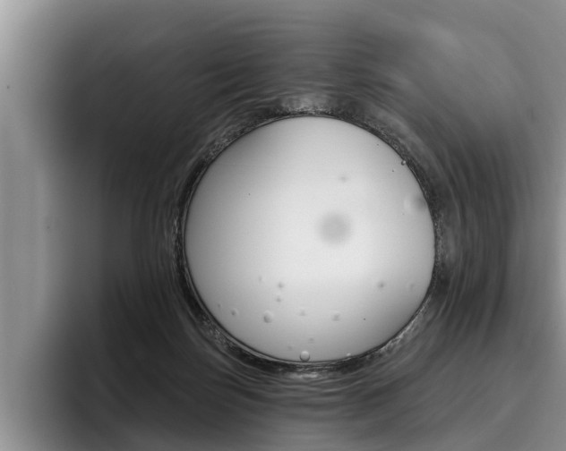 X0000096170171200801180837