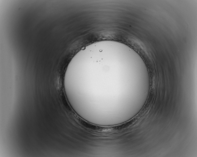 X0000096170173200801180837