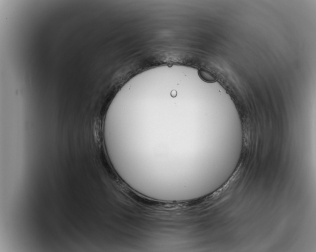 X0000096170175200801180837
