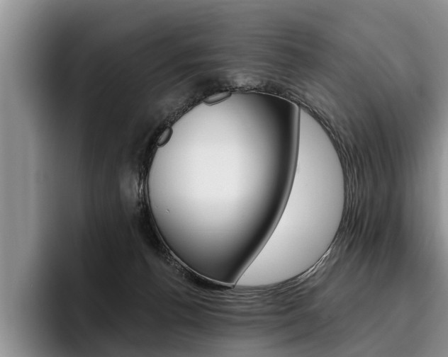 X0000096170176200801180837