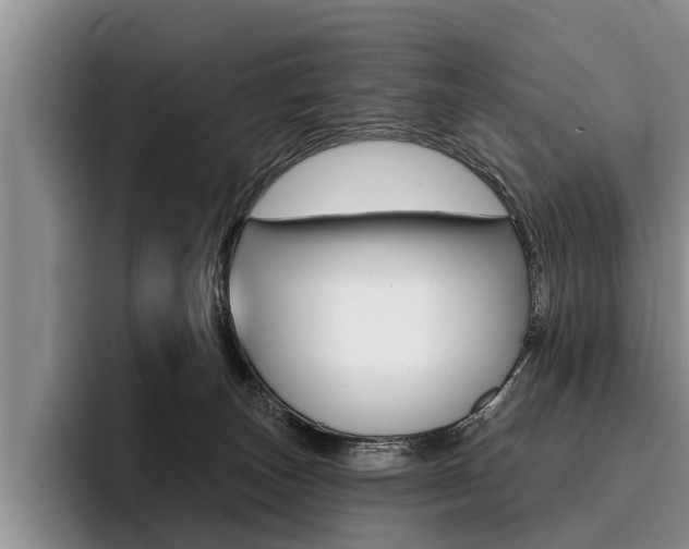 X0000096170179200801180837
