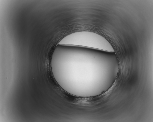 X0000096170182200801180837