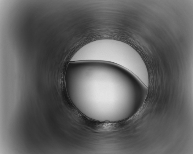X0000096170184200801180837