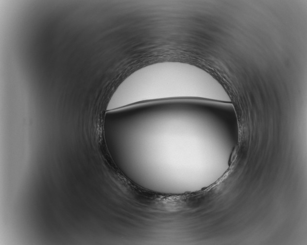 X0000096170186200801180837