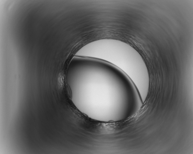 X0000096170188200801180837