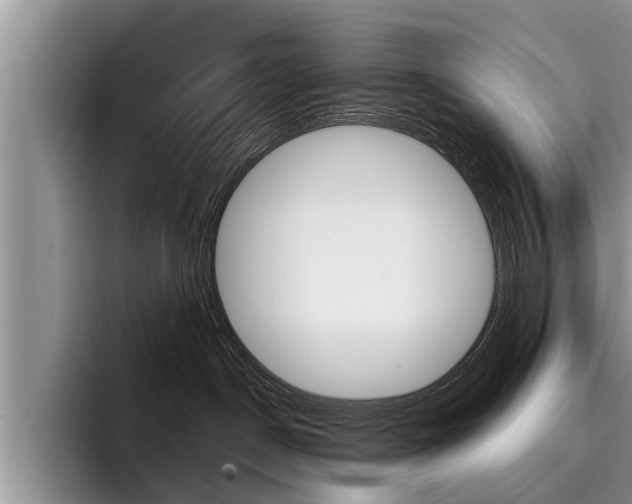 X0000096170190200801180837