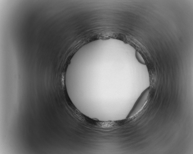 X0000096170191200801180837