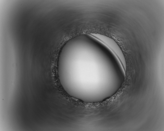 X0000096170192200801180837