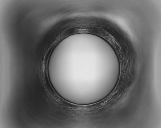 X0000096170194200801180837
