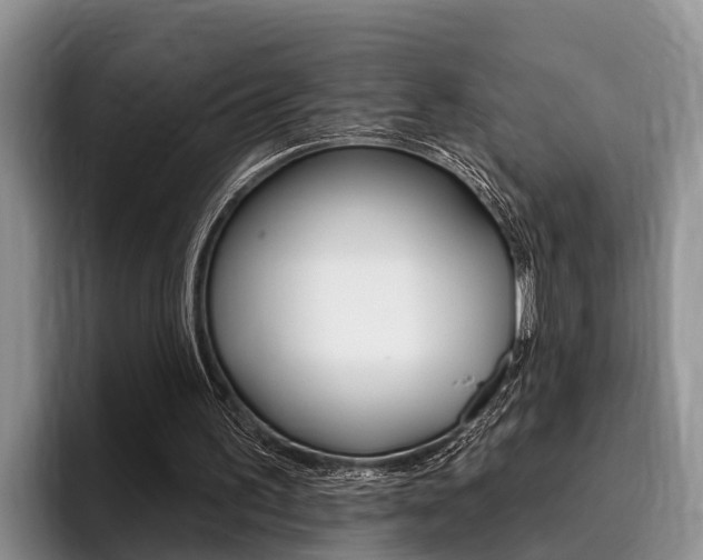 X0000096170195200801180837
