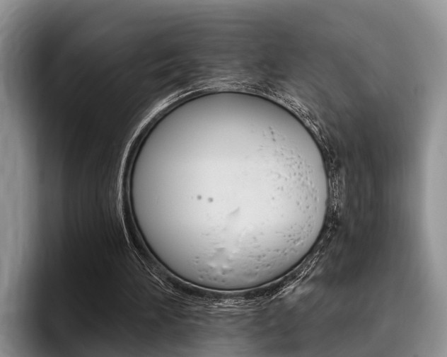 X0000096170196200801180837