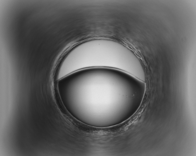 X0000096170197200801180837