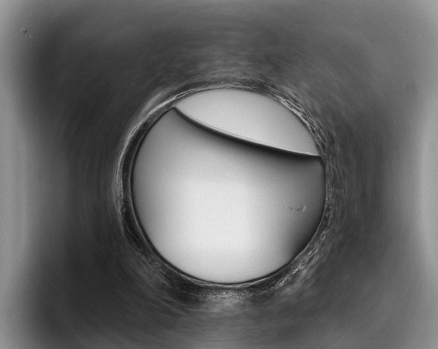 X0000096170198200801180837