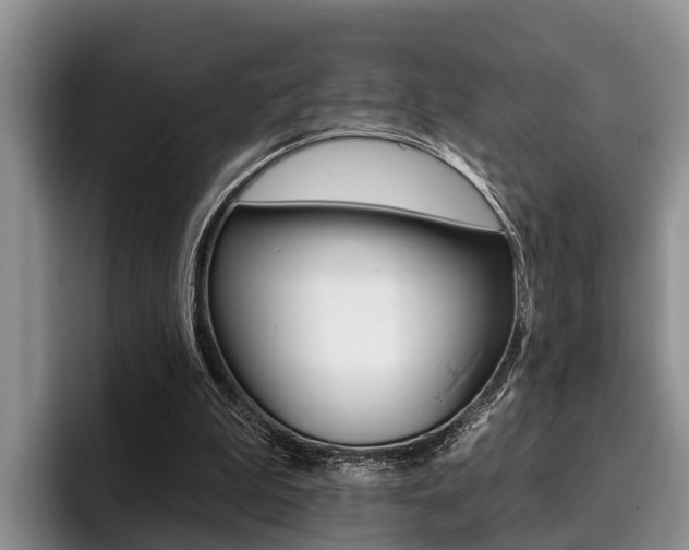 X0000096170199200801180837