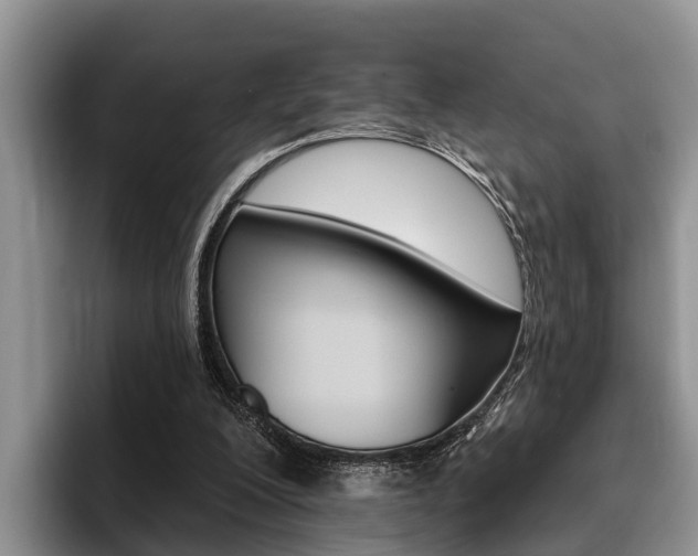X0000096170200200801180837