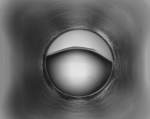 X0000096170201200801180837