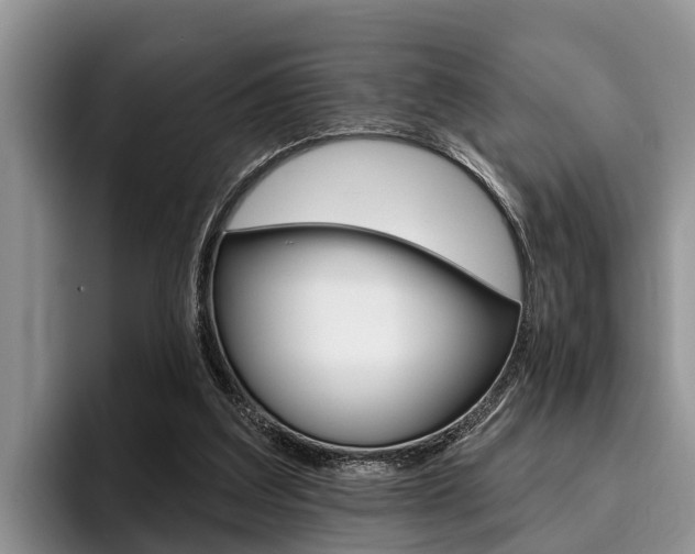 X0000096170203200801180837