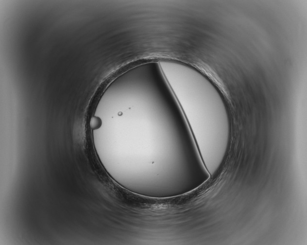 X0000096170204200801180837