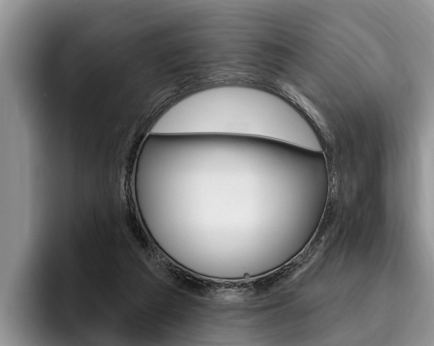X0000096170209200801180837
