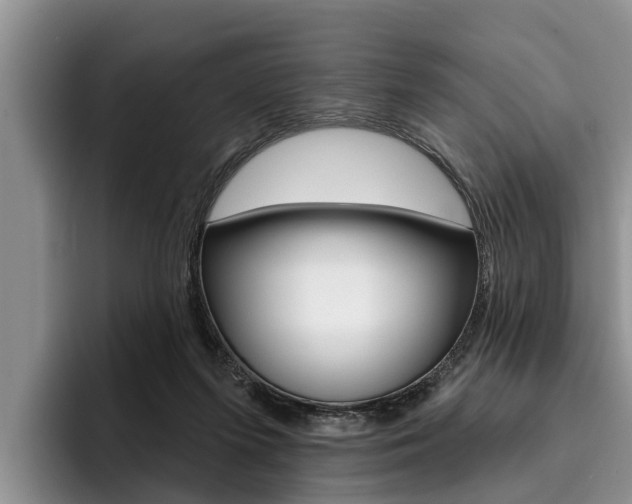 X0000096170215200801180836