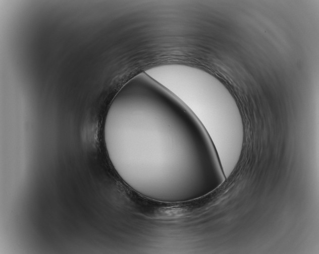 X0000096170219200801180836