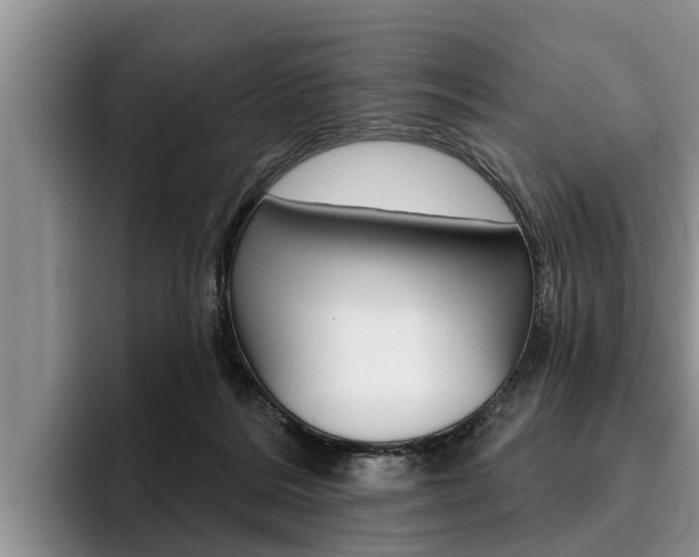X0000096170220200801180836