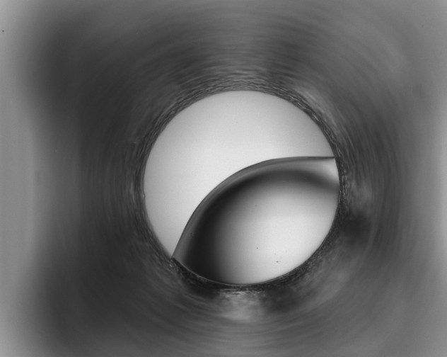 X0000096170221200801180836