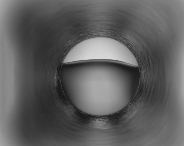 X0000096170223200801180836