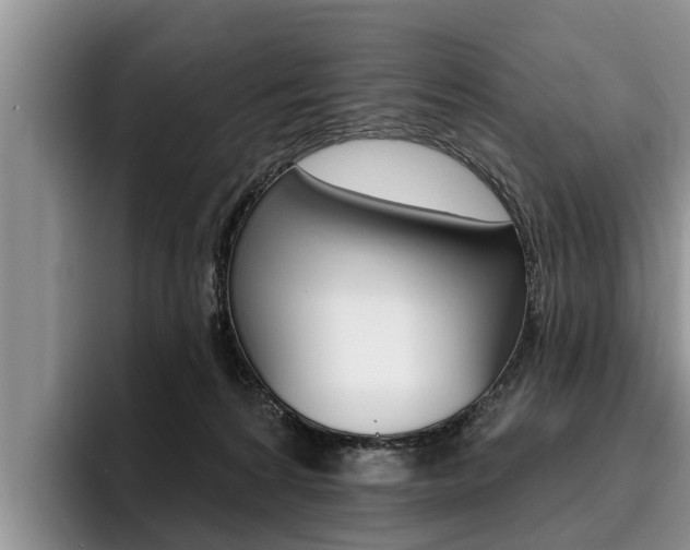 X0000096170224200801180836