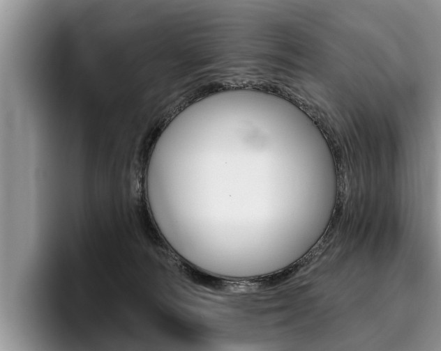 X0000096170226200801180836