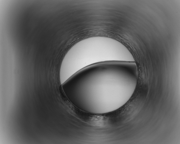 X0000096170227200801180836