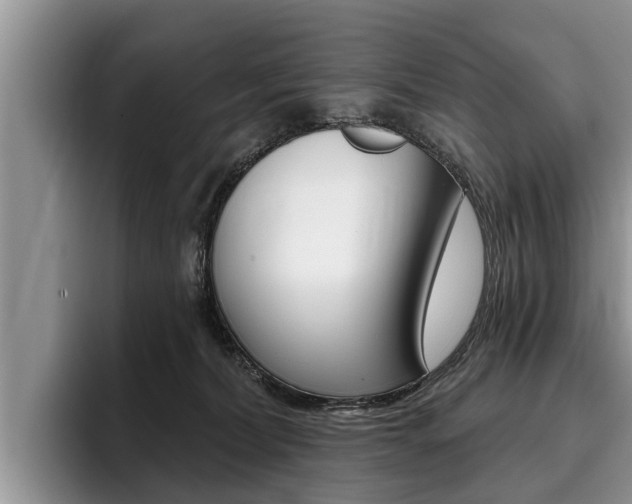 X0000096170228200801180836