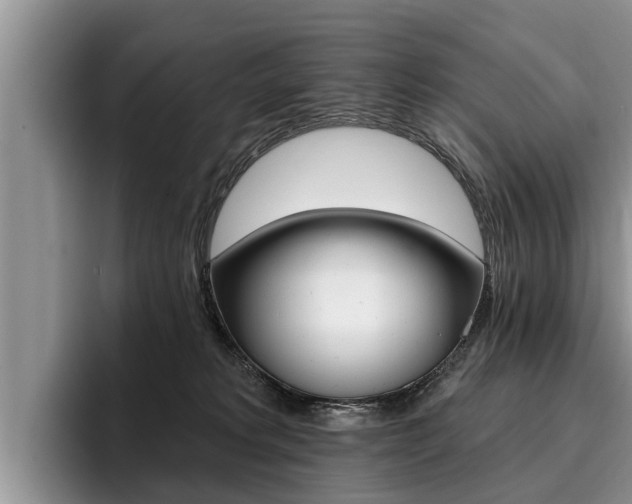 X0000096170229200801180836