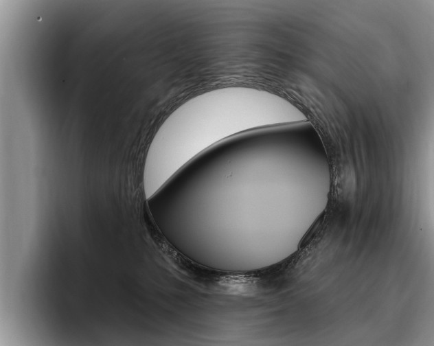 X0000096170231200801180836