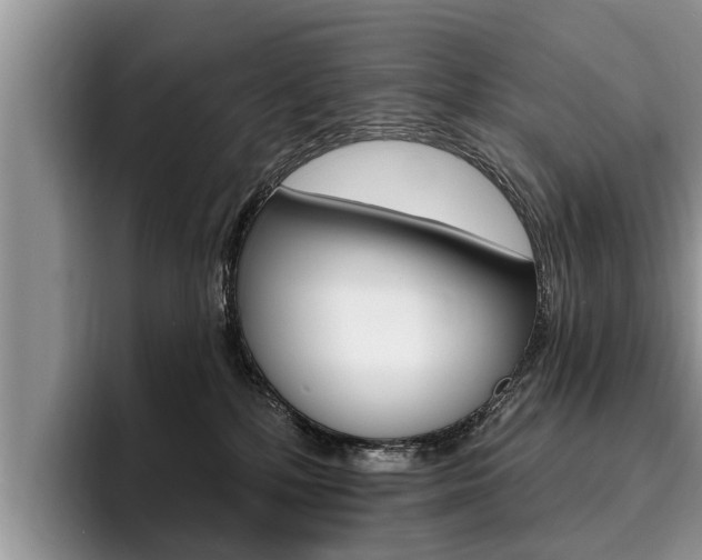 X0000096170232200801180836
