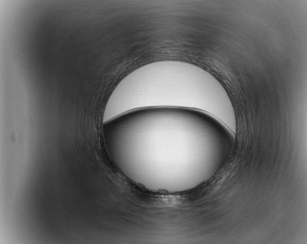 X0000096170233200801180836