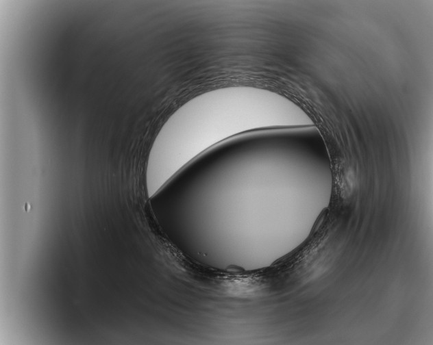 X0000096170235200801180836