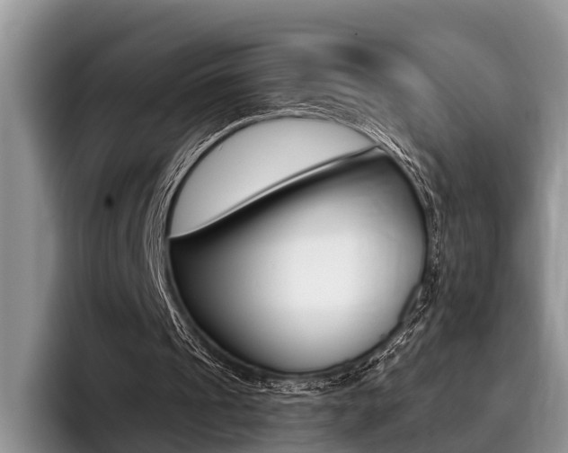X0000096170241200801180836