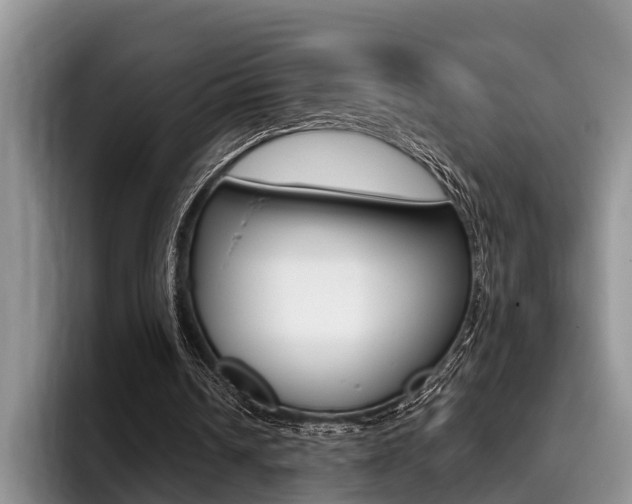 X0000096170242200801180836