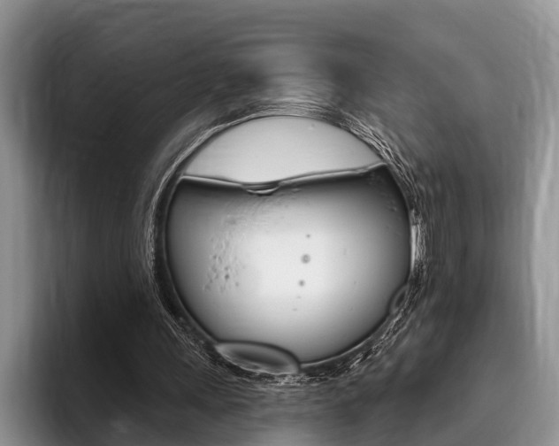 X0000096170243200801180836