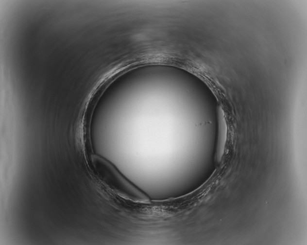 X0000096170244200801180836