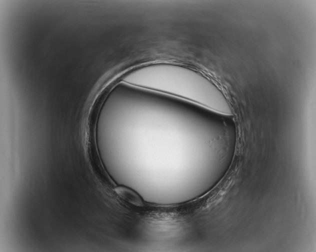 X0000096170247200801180836