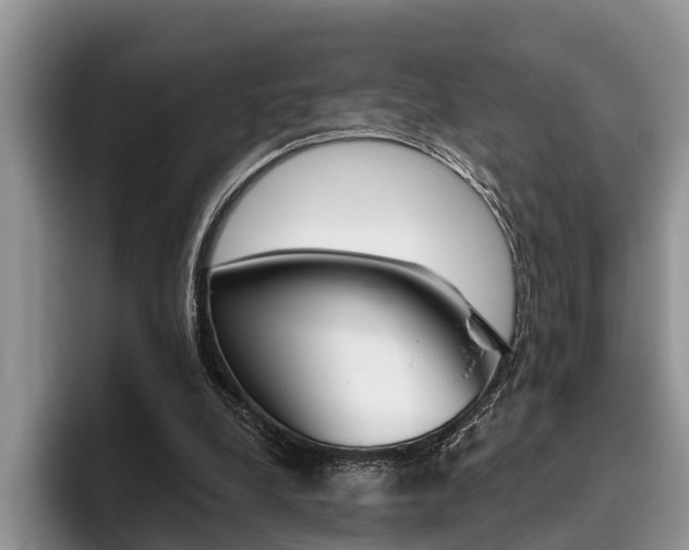 X0000096170248200801180836