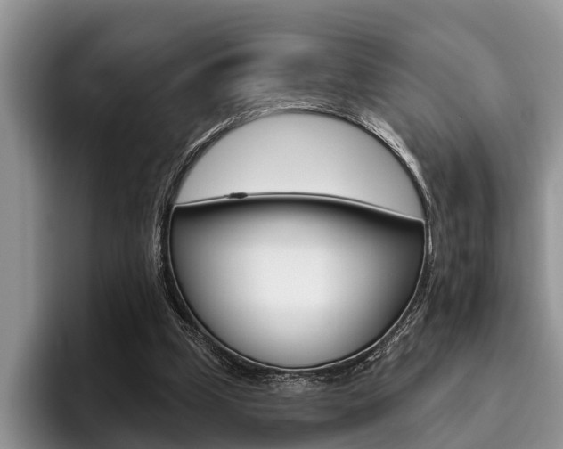 X0000096170249200801180836