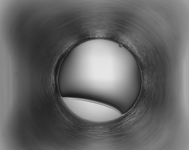 X0000096170251200801180836