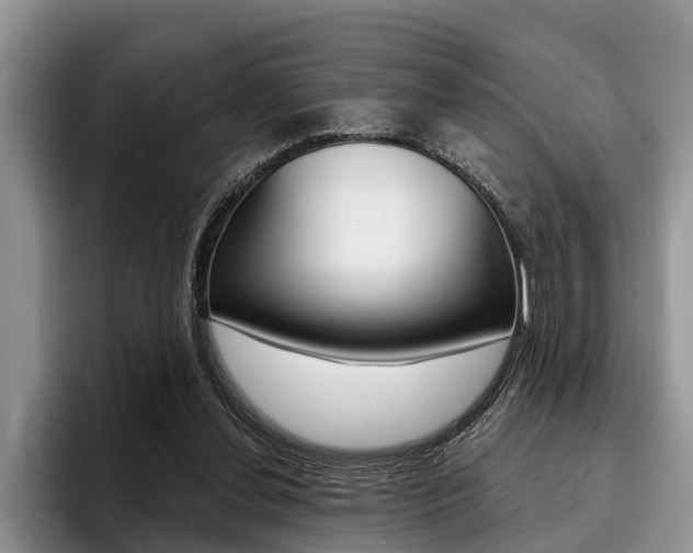 X0000096170252200801180836