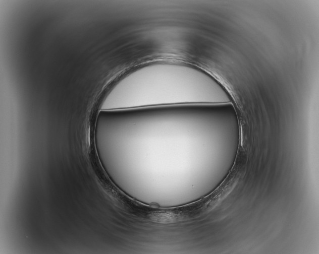X0000096170253200801180836